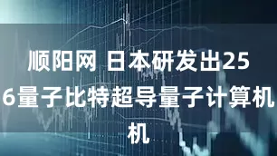 顺阳网 日本研发出256量子比特超导量子计算机