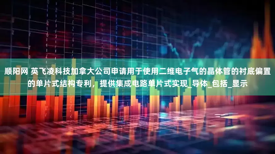 顺阳网 英飞凌科技加拿大公司申请用于使用二维电子气的晶体管的衬底偏置的单片式结构专利，提供集成电路单片式实现_导体_包括_显示