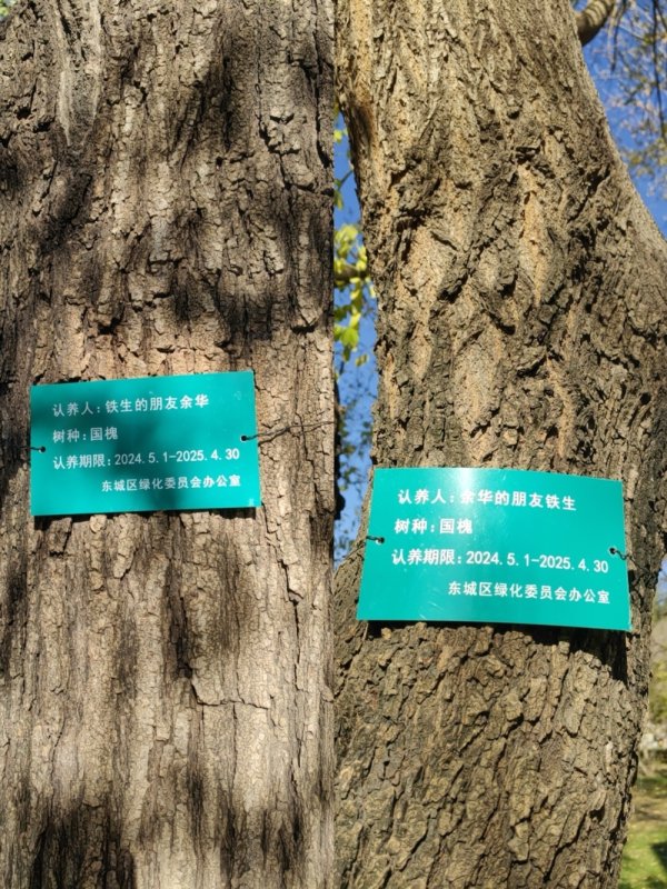 牛达人 网友喊话余华：“地坛公园的树该续费了”