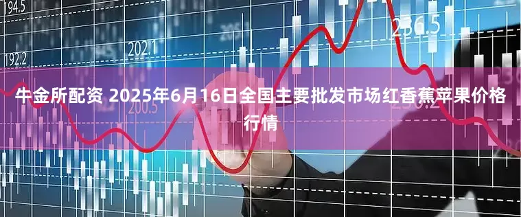 牛金所配资 2025年6月16日全国主要批发市场红香蕉苹果价格行情