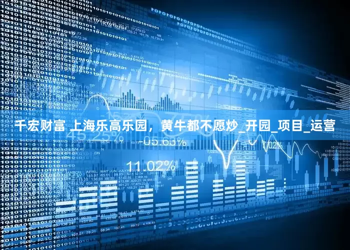 千宏财富 上海乐高乐园，黄牛都不愿炒_开园_项目_运营