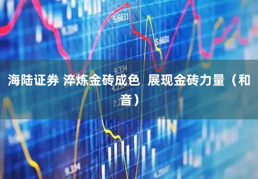 海陆证券 淬炼金砖成色  展现金砖力量（和音）
