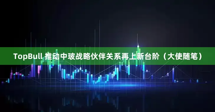 TopBull 推动中玻战略伙伴关系再上新台阶（大使随笔）