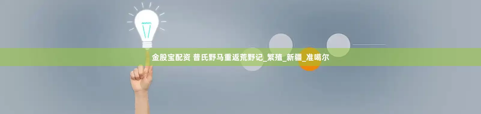金股宝配资 普氏野马重返荒野记_繁殖_新疆_准噶尔