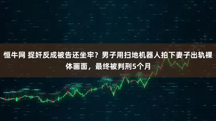 恒牛网 捉奸反成被告还坐牢？男子用扫地机器人拍下妻子出轨裸体画面，最终被判刑5个月